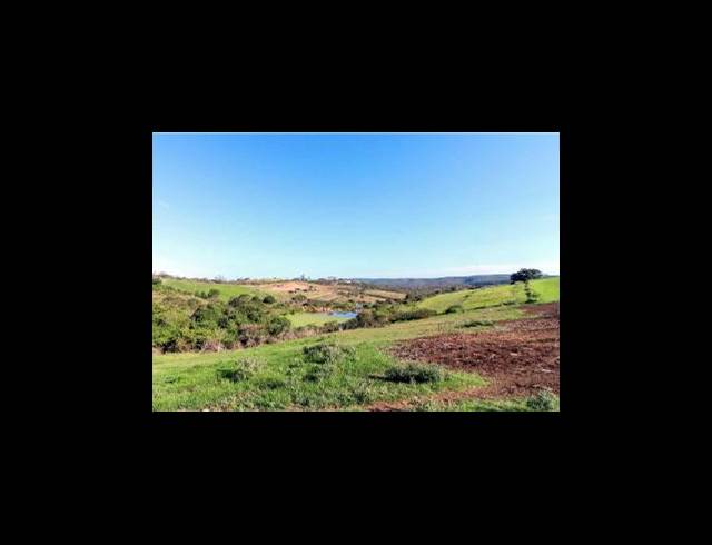 473HA FARM FOR SALE IN EAST LONDON RURAL